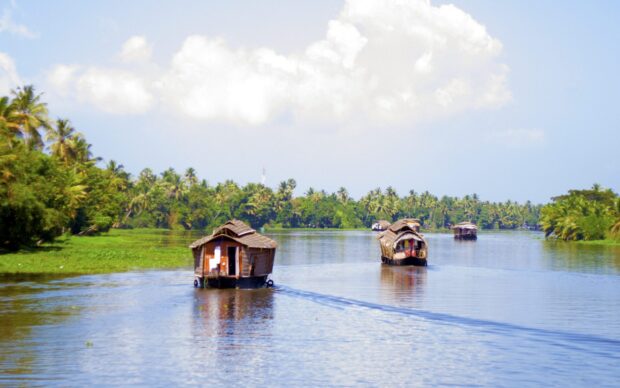 Traditional Kerala houseboats sailing on serene backwaters surrounded by lush palm trees
