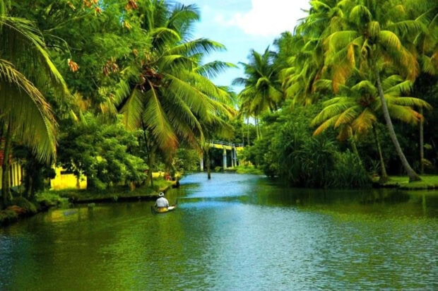 A man paddling a boat through lush Kerala river surrounded by green palm trees