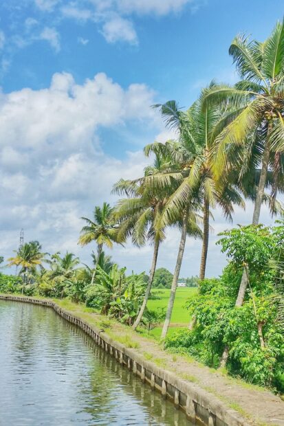 Lush Kerala scenery with palm trees and water canal under blue sky
