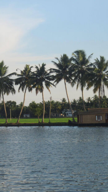A serene Kerala riverscape with palm trees and a traditional houseboat near lush greenery