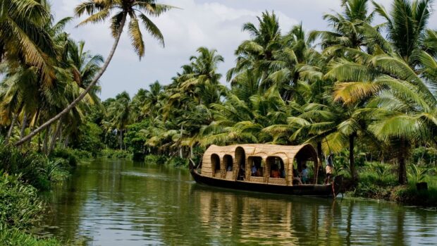 Traditional Kerala boat on a river surrounded by lush palm trees in Kerala