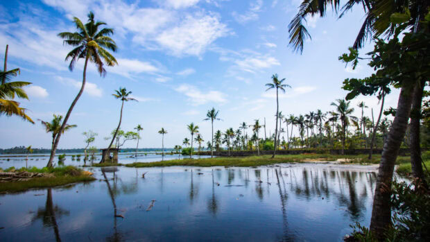 A peaceful Kerala landscape with palm trees reflecting in calm water and blue sky