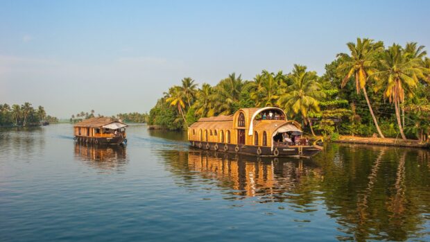 Traditional Kerala houseboats floating on calm water surrounded by palm trees