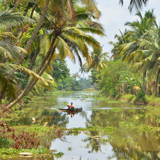 A serene view of traditional Kerala landscape with a man rowing a boat on a river surrounded by lush greenery