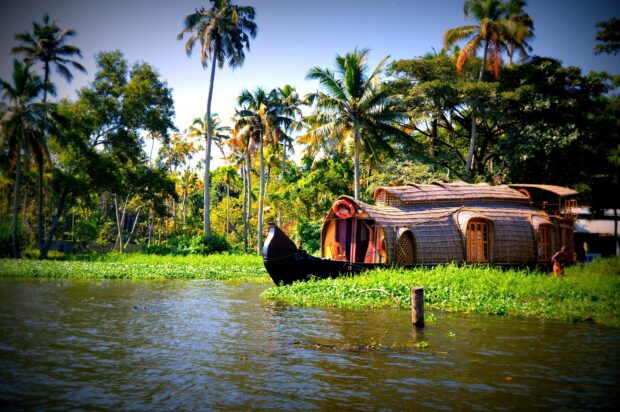 Traditional Kerala houseboat near lush palm trees in Kerala nature