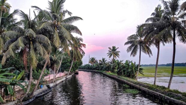 A serene Kerala river surrounded by lush palm trees at sunset with vibrant sky hues