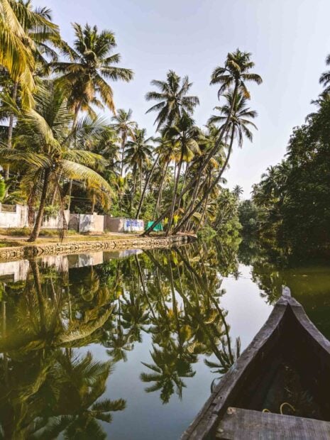 Traditional Kerala landscape with coconut trees and calm river reflections viewed from a boat