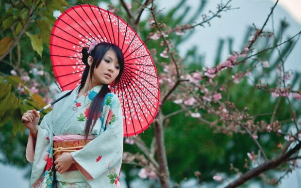 A woman wearing a kimono standing with a red umbrella near cherry blossom trees