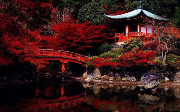 A traditional Kyoto garden with red maple trees and a wooden bridge reflecting in the water