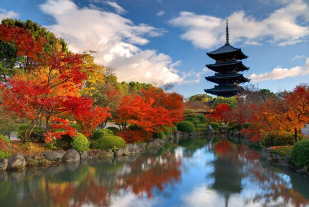 Autumn foliage surrounding a traditional Kyoto pagoda with vibrant trees reflected in a calm pond