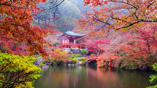 A peaceful autumn scene with vibrant maple leaves and a traditional Kyoto temple by the calm pond