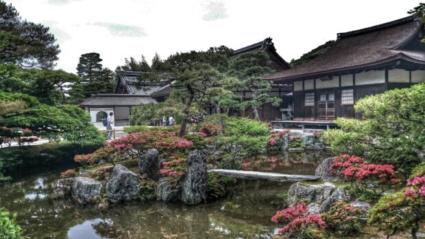 Traditional Kyoto garden with rocks and blooming flowers near wooden buildings in a serene setting
