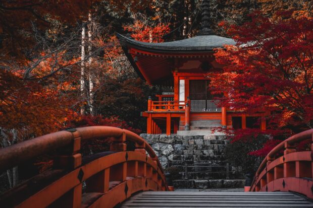 Traditional Kyoto architecture surrounded by autumn trees in Kyoto