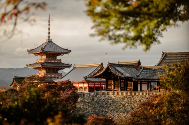 Traditional Kyoto temple architecture surrounded by autumn foliage in warm sunlight