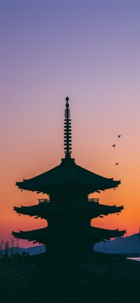 Traditional Kyoto pagoda silhouette during sunset with birds flying in the sky