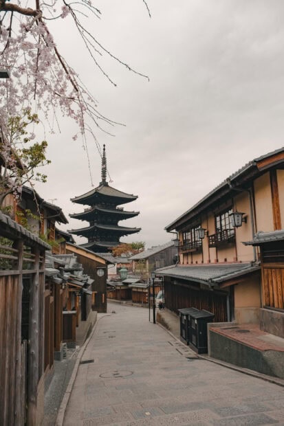 Traditional Kyoto street with pagoda and cherry blossom trees in the background