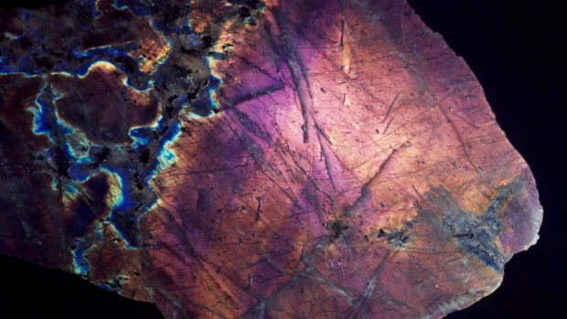 Close up of labradorite showing vibrant blue and purple iridescent colors