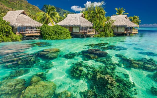Clear lagoon with tropical huts and vibrant coral reefs under a blue sky