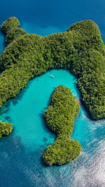 Aerial view of lush green lagoon surrounded by turquoise water with a small boat floating