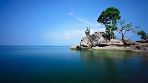 Calm ocean water with rocks and trees in a lagoon scene
