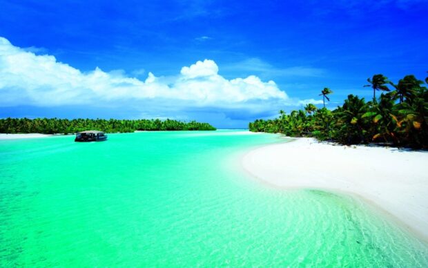 Clear lagoon water with green palm trees and a boat sailing under blue sky