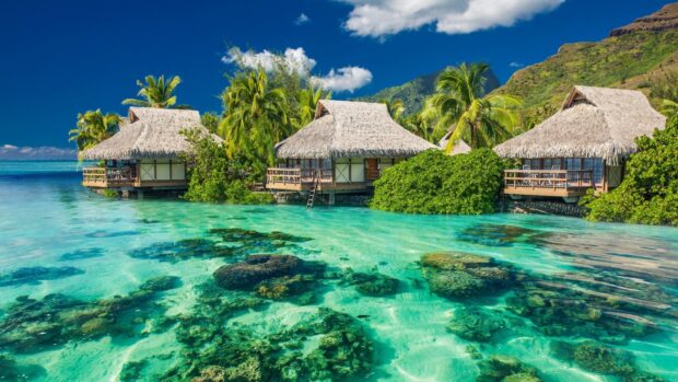 Tropical lagoon with clear water and wooden huts surrounded by lush greenery