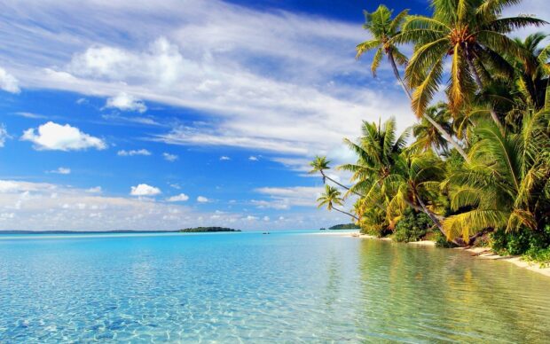Clear lagoon water with palm trees along the sandy shore under a partly cloudy sky