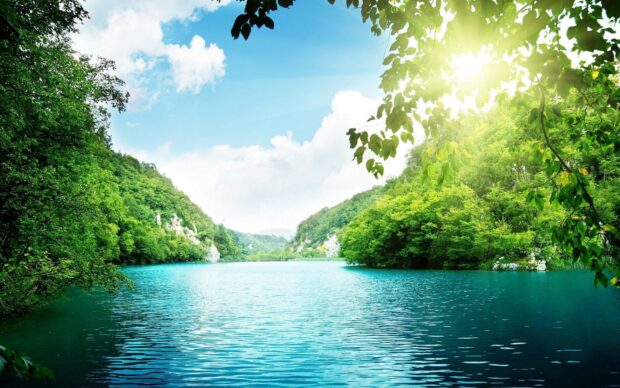 Clear blue lagoon surrounded by green trees under a bright sun in a natural setting