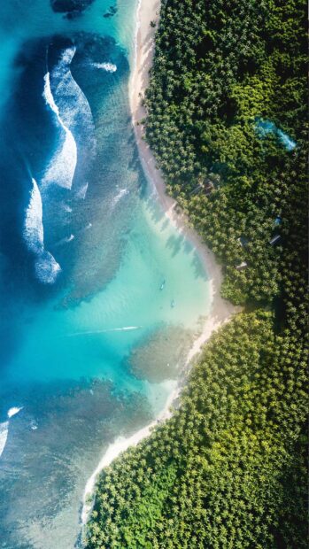 Aerial view of a tropical lagoon with clear turquoise water and lush green forest surrounding the coast