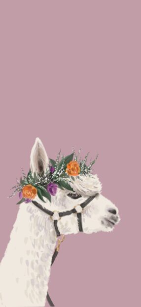 White lama wearing a floral crown with orange and purple flowers on a pink background