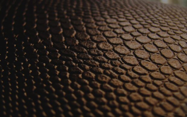 Close up of leather texture showing detailed grain pattern