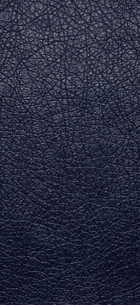 Close up of textured leather surface showing natural grain pattern