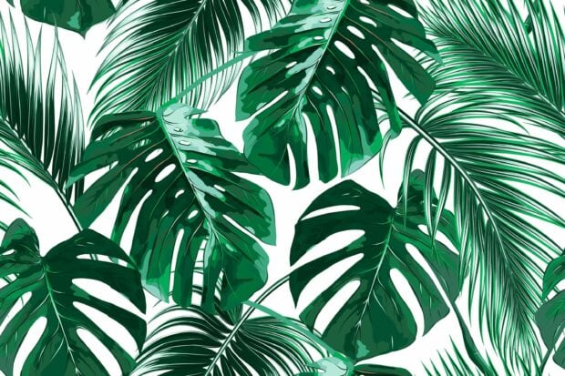 Green tropical leaves pattern with various types of leaves forming a dense natural design