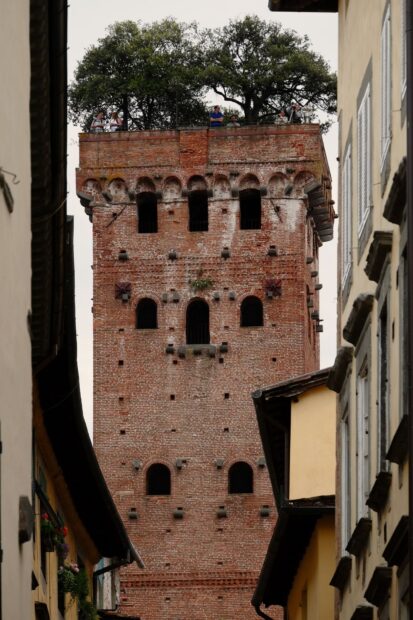 Historic brick tower in Lucca Italy with visitors on top and surrounding old buildings