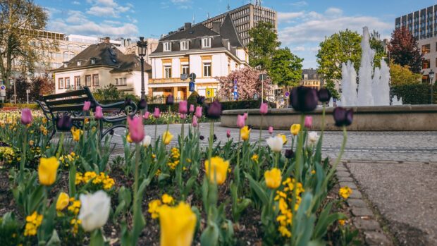 Colorful flowers blooming in a Luxembourg garden near historic buildings and a fountain during springtime