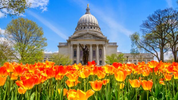The Wisconsin Capitol building surrounded by colorful tulips in Madison