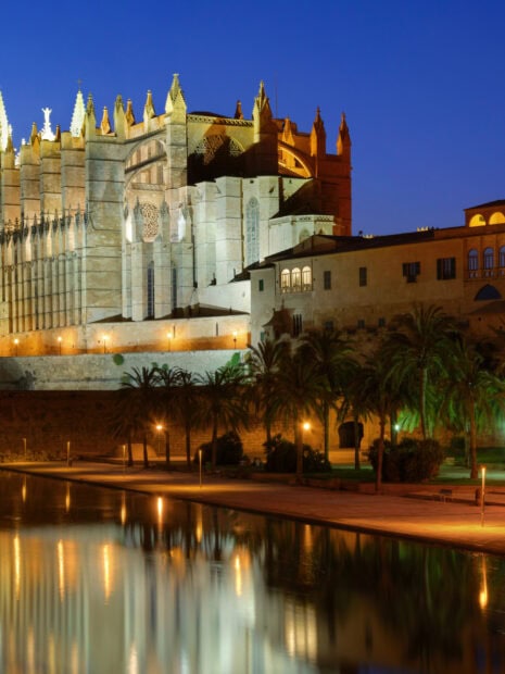 Night view of Mallorca old cathedral and palm trees reflecting on water