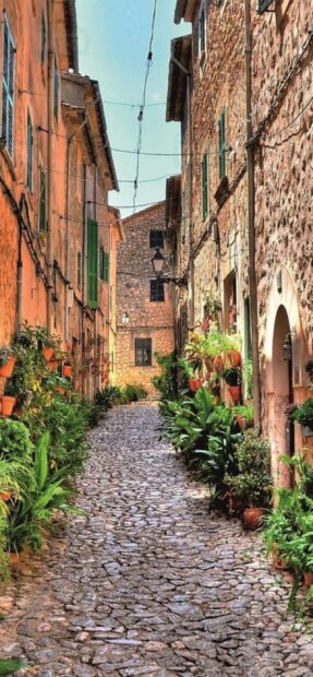 Narrow cobblestone street in Mallorca lined with plants and stone buildings