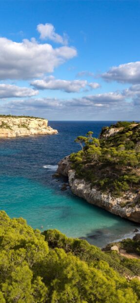 Mediterranean coastline with turquoise water and green pine trees in Mallorca