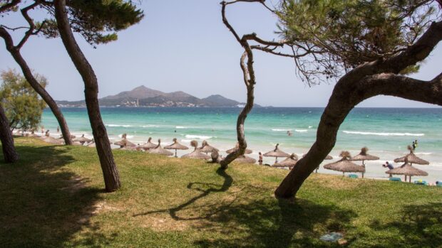 A scenic view of Mallorca with trees and straw umbrellas by the turquoise sea