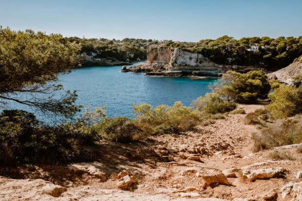 Rocky coastal trail surrounded by pine trees overlooking the blue sea in Mallorca
