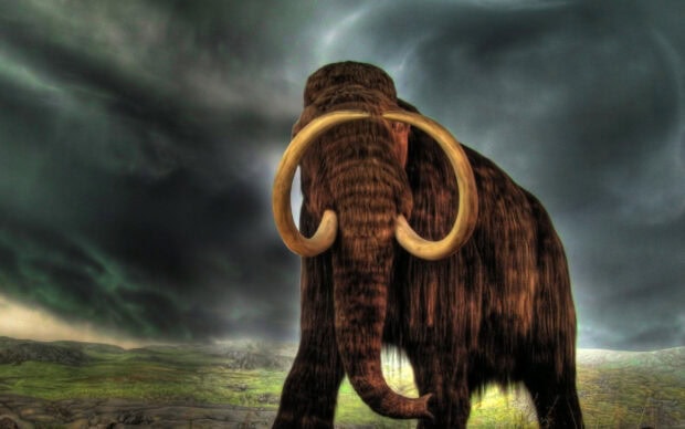 A large mammoth standing in a green valley under a dark cloudy sky