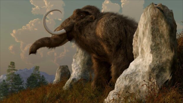 A woolly mammoth standing among large rocks in a natural prehistoric landscape