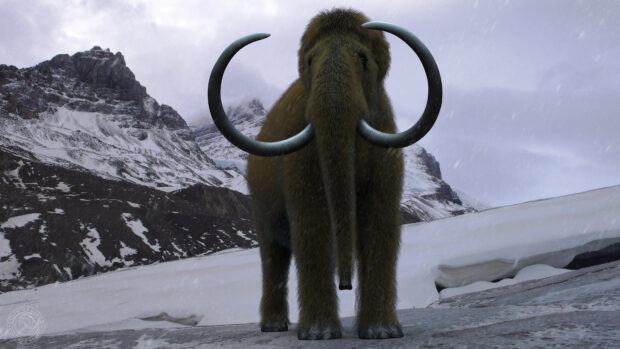 A woolly mammoth standing on snowy rocky terrain in front of snow covered mountains during a snowstorm
