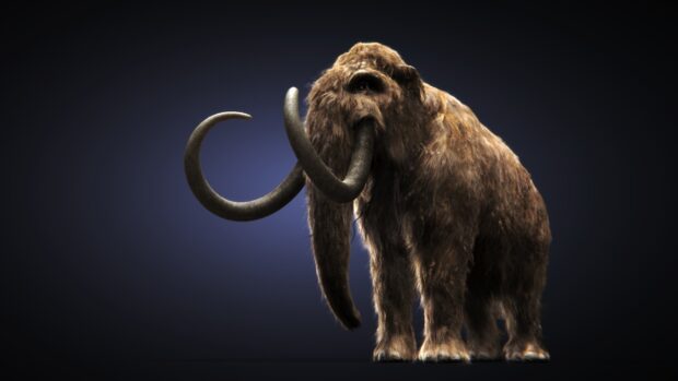 A realistic mammoth standing with large curved tusks against a dark background