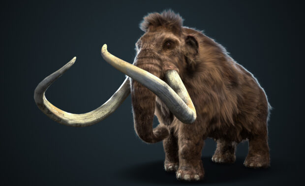 A detailed rendering of a mammoth with long curved tusks and thick fur standing on a dark background