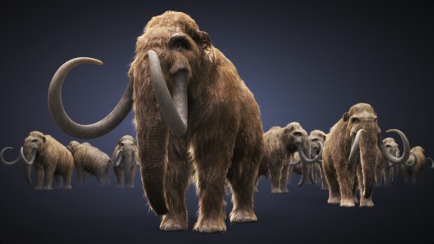 A herd of mammoth standing together in a dark environment with detailed fur and tusks