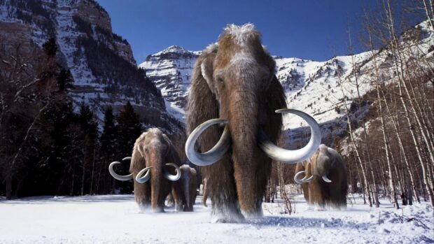 A herd of mammoth walking through the snowy forest with mountains in the background