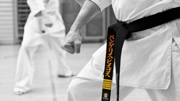 A martial art practitioner wearing a black belt preparing a punch in a karate dojo