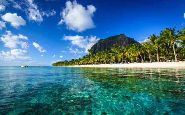 Clear ocean waters and palm trees along Mauritius Island coastline with a mountain in the background